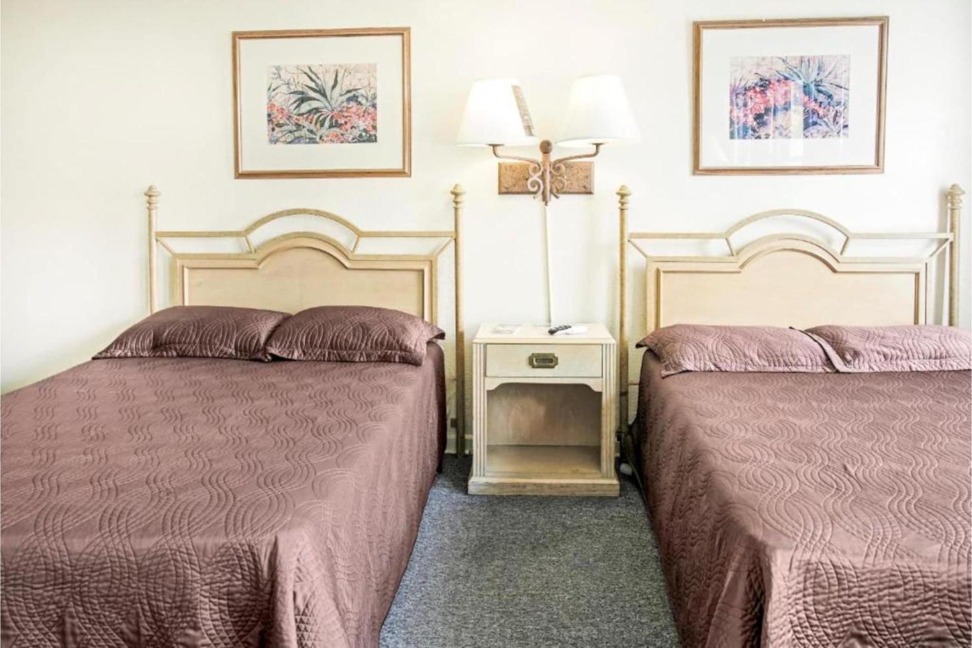 Oyo Historic Cameron Hotel Brownsville I-69E Dış mekan fotoğraf